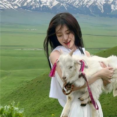 歪果仁研究协会